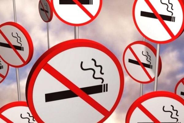 Опасность от никотиновых смесей